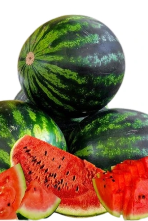 Watermelon Tarbooj Seeds | Fruit Seeds