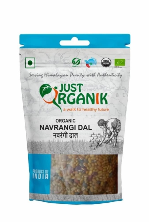 just-organik-navrangi-500gm-100-organic