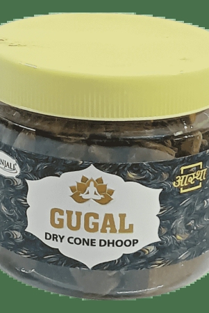 AASTHA GUGAL CONE DHOOP - 80 GM