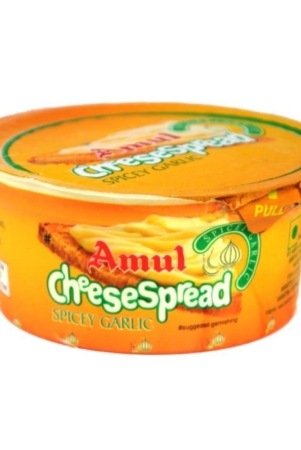 amul-cheese-spread-spicy-garlic-200-gm-1-pc