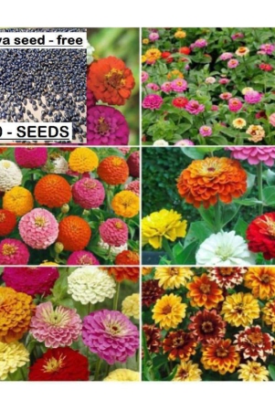 combo-of-14-different-type-flower-plant-seeds-pack-with-cocopeat-and-user-manual-more-than-400-seeds-pack-for-home-gardenung-use