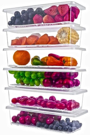 sharuja-fridge-storage-polyproplene-transparent-food-container-set-of-1-transparent