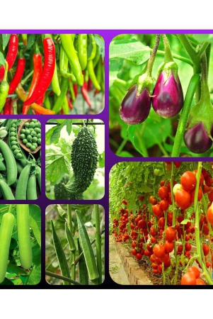 vegetable-seeds-combo-7-variety-65-seed-with-instruction-manual