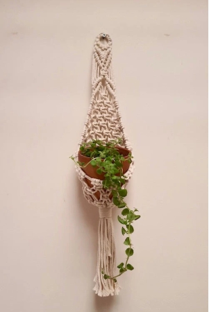 mesh-plant-hanger