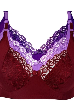 kiran-enterprises-cotton-minimizer-bra-maroon-none