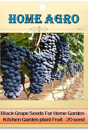 homeagro-black-grape-fruit-20-seeds-