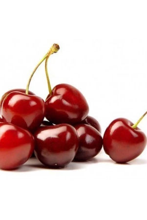 stone-fruit-cherry-imported-250-gm