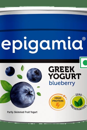 epigamia-greek-yogurt-blueberry-high-in-protein-no-preservatives-85-g-cup