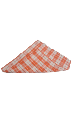 orange-green-and-white-checkered-dish-towel-set-of-3