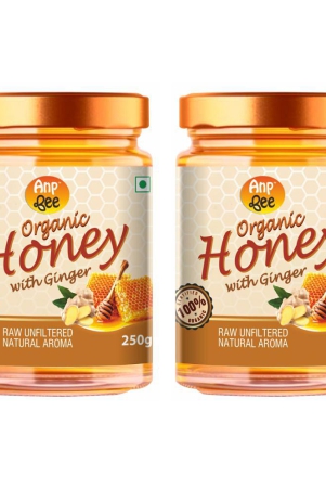 anp-bee-honey-organic-ginger-honey-250-g-pack-of-2