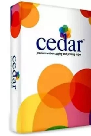 jk-cedar-100-gsm-a3-box-pack-containing-5-reams