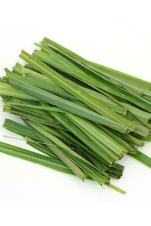 chives-50-gms