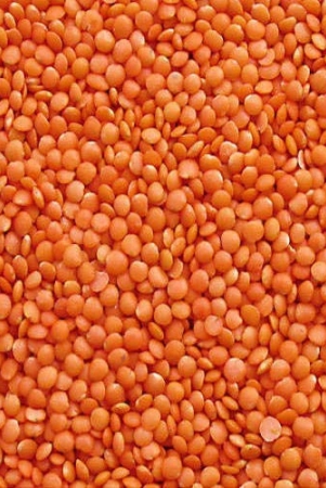 masoor-dal-red-dal