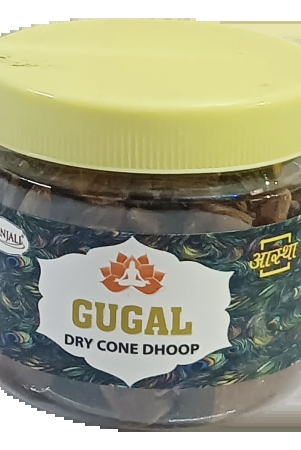 aastha-gugal-cone-dhoop-80-gm