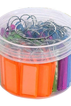 multicolor-plastic-keyring-keychain-with-name-tag-labels-pack-of-50