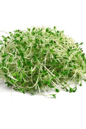 alfalfa-sprouts-50-gms