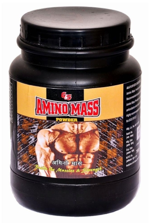 rikhi-g-g-amino-mass-powder-300-gm-pack-of-1