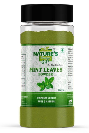 natures-gift-mint-leaves-powder-7-oz-spice-jar-powder-200-gm