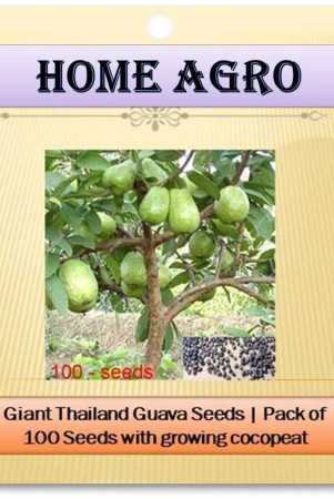 hn-organic-seed-fruit-seeds-100-