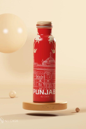 ipl-team-punjab-print-pure-copper-bottle-1l