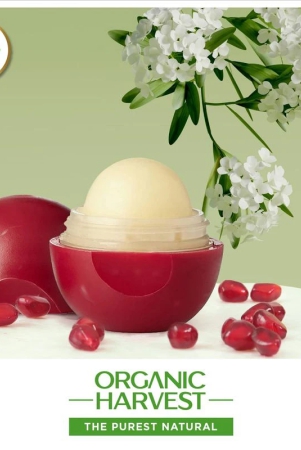 moisturizing-lip-balm-pomegranate-8g