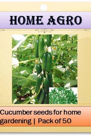 hn-organic-seed-vegetable-seeds-50-