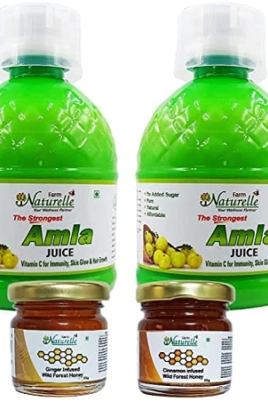 farm-naturelle-strongest-n-concentrated-amla-juice-for-improved-immunity-hair-and-skin-health-2x400ml-55gx2-herbs-infused-forest-honeys