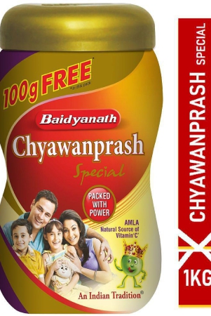 baidyanath-chyawanprash-special-paste-1kg