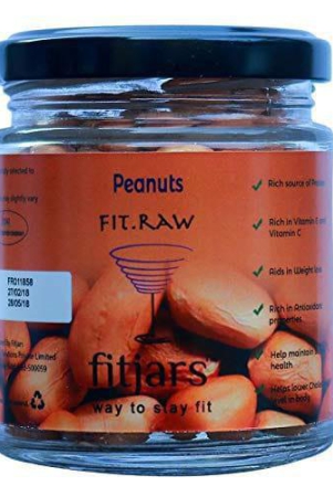 fitjars-peanut-dry-roasted-100gm