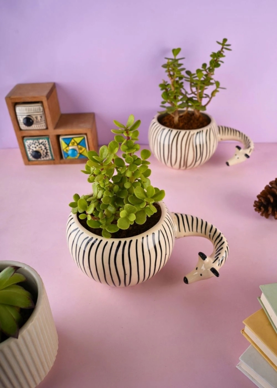 Zebra Planter