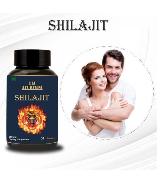 FIJ AYURVEDA Shilajit  Capsule Supports Vigor & Vitality - 500mg 60 Capsules (Pack of 2)