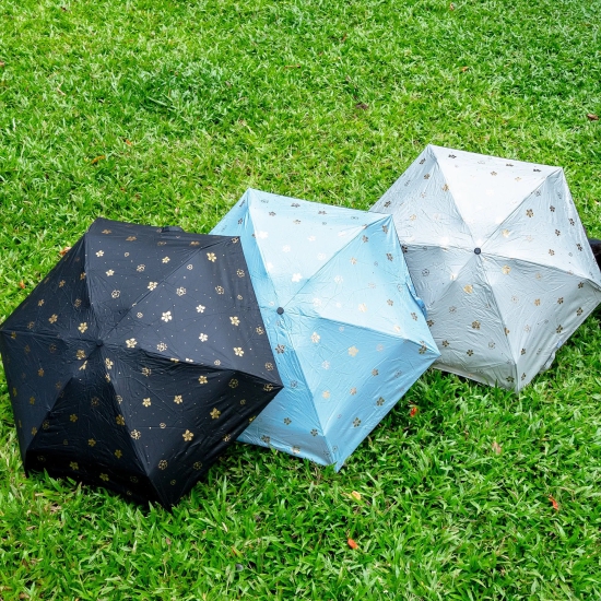 Gold Foiled Pocket Umbrella-Black