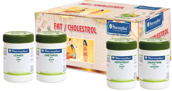 Fat loss/Cholesterol Root Cause Treatment Pack