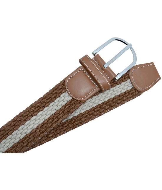 Loopa Brown Nylon Casual Belt Pack of 1 - None