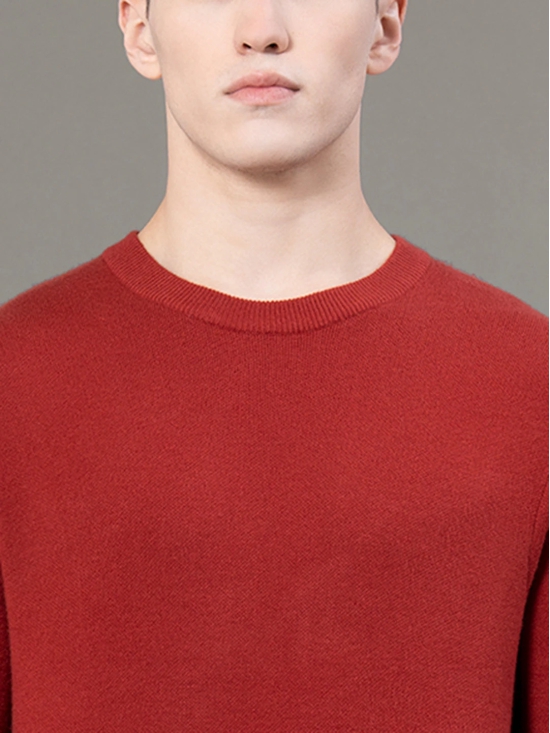 RedTape Round Neck Solid Sweater for Men | Essential Comfort for Every Day