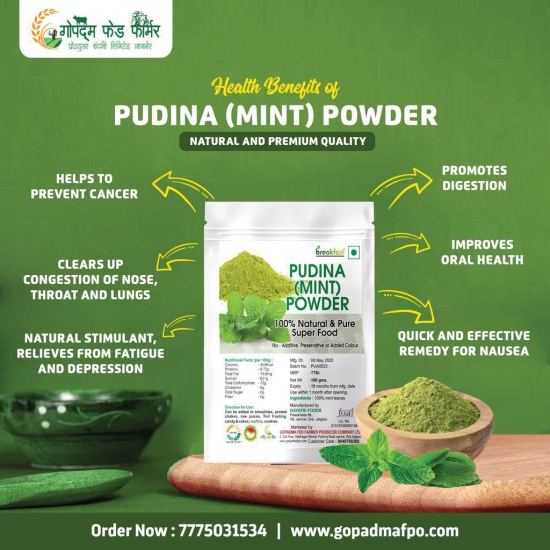 PUDINA POWDER