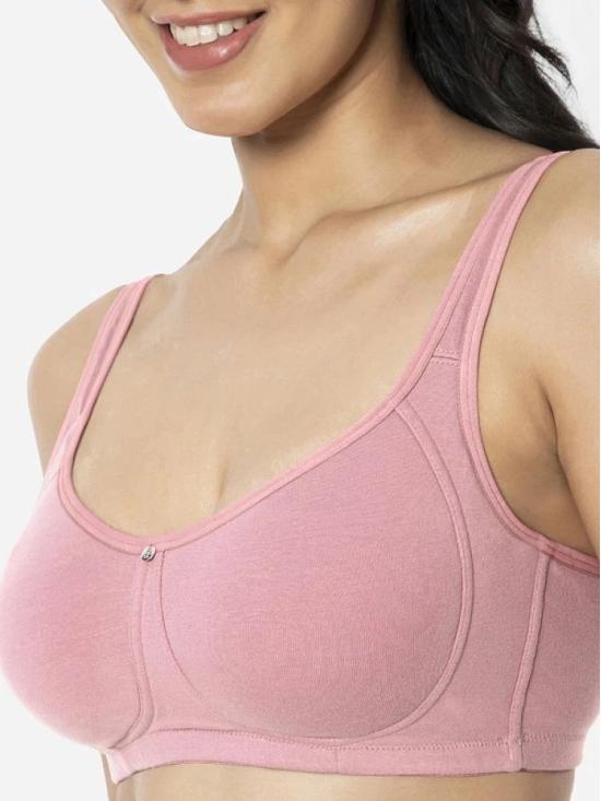 Amante Pack of 1 Cotton Womens Everyday Bra ( Pink ) BRA93401 - None