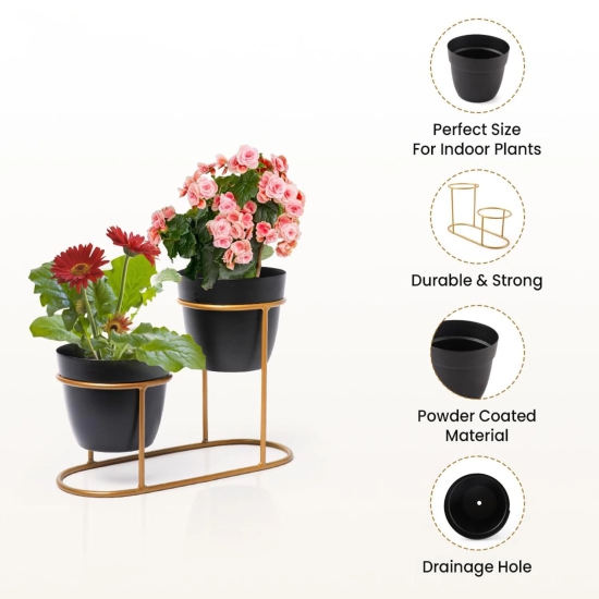 Kuber Industries Planter  Desktop Flower Planter  Balcony Flower Pot  Home Dcor Flowers Pot  Flower Planter for Office Dcor  Double Planter with Golden Stand  1128-A  Black-Kuber Industries Plant