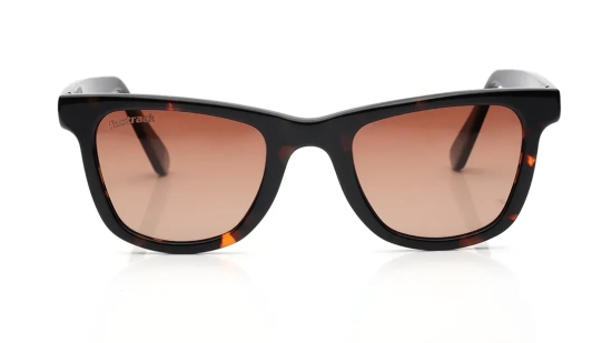 Brown Wayfarer Sunglasses for Men