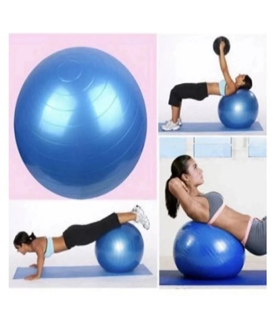 Meera Gym Ball - L