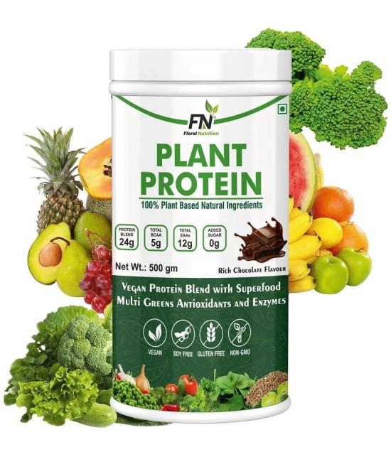 Floral Nutrition - 100% Plant Protein Powder Plant Protein Powder ( 500 gm Rich Chocolate )