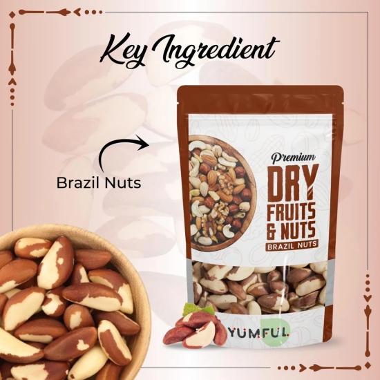 Yumful Premium Jumbo Brazil Nuts - 250g, Grams Pouch | Selenium Rich, Brazlian Nuts