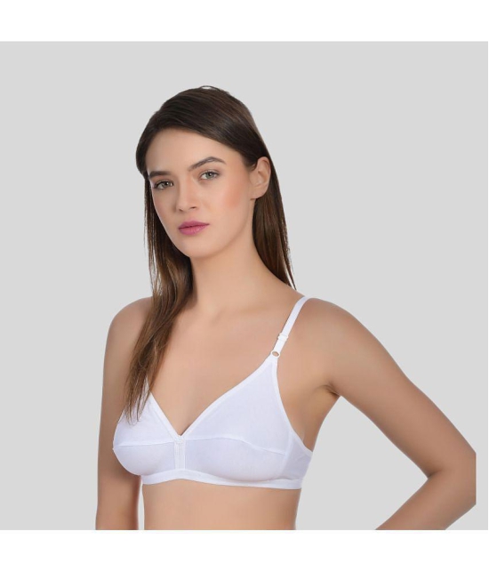 AIMLY - Black Cotton Non Padded Womens T-Shirt Bra ( Pack of 2 ) - None