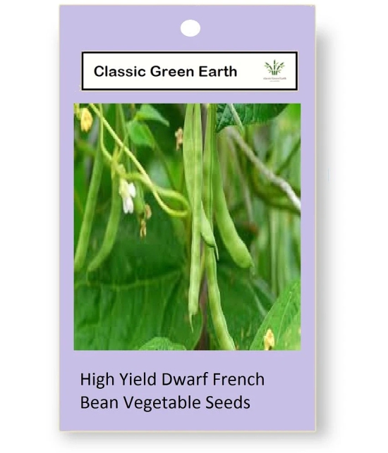 CLASSIC GREEN EARTH - French Beans Vegetable ( 60 Seeds )