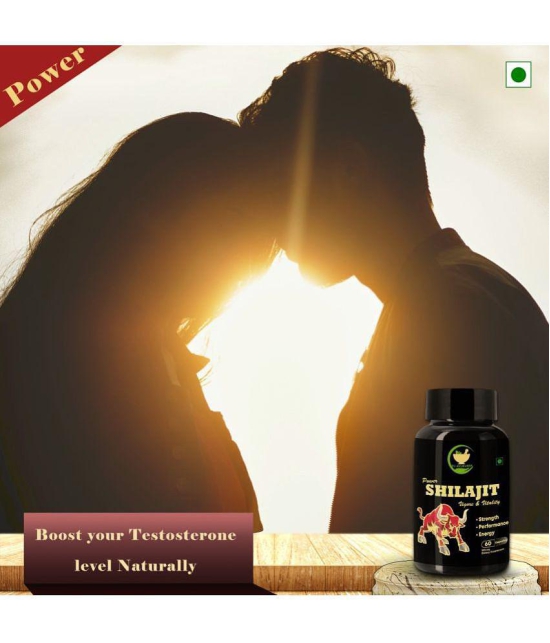 FIJ AYURVEDA Power Shilajit  Extract Capsule for Men & Women - 500mg 60 Capsules (Shilajit Pk 2)