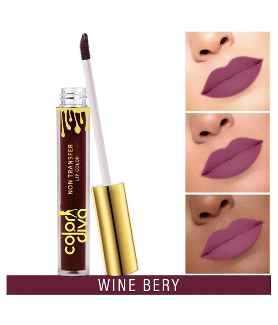 COLOR DIVA Non Transfer Matte Liquid Lipstick, Wine Bery, 6ml