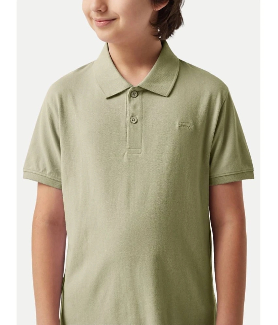 Radprix Green Cotton Blend Boys Polo T-Shirt ( Pack of 1 ) - None