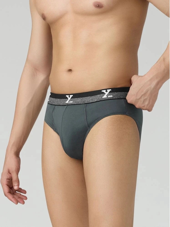 XYXX Pack of 1 Cotton Mens Briefs ( Grey ) - None