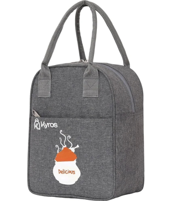 Kyros Grey Polyester Lunch Bag Pack of 1 - Grey