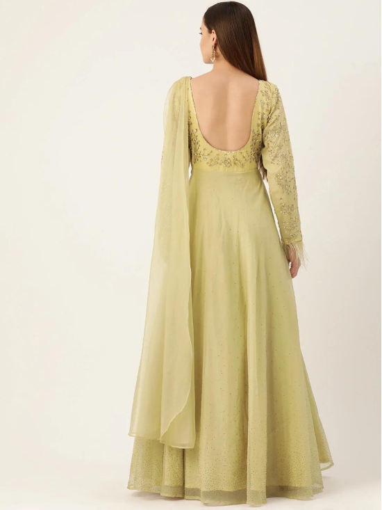 Desginer Green Net Gown-XXL